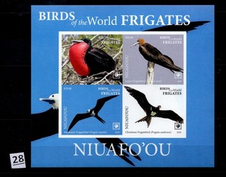 = NIUAFO'OU 2020 MNH IMPERF NATURE BIRDS