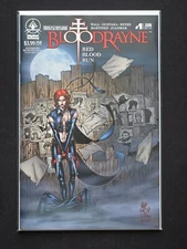 BloodRayne Red Blood Run #1 (2010) Cover B Digital Webbing Low Print Run - VFNM