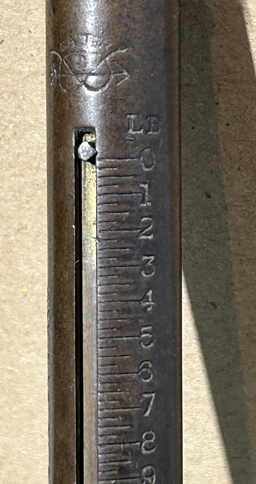 Picture 12 of 14
