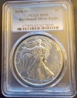 2018 W American Eagle SP-69 PCGS Burnished Art Bullion -0.999 Silver 1 Oz Coin