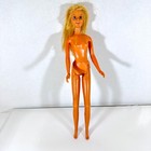 Foto 12 di 23