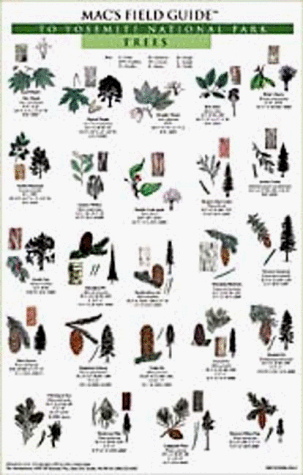 MAC'S FIELD GUIDE TO YOSEMITE NATIONAL PARK: TREES & By Craig Macgowan BRAND NEW