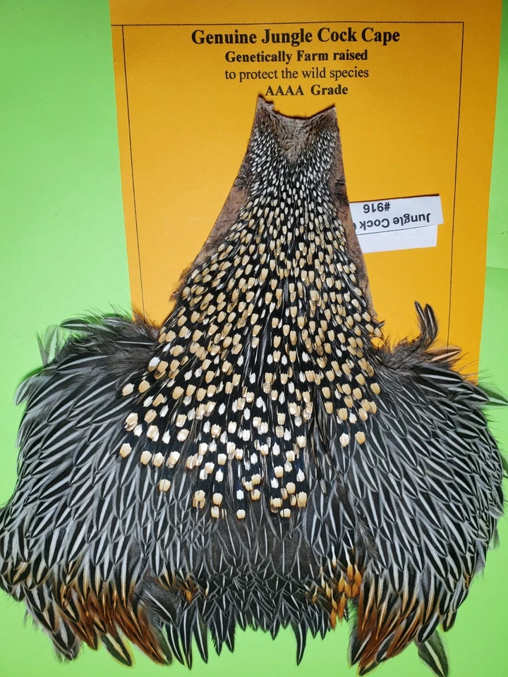 Jungle Cock Cape SUPER   AAAA 916 - Image 2 of 4