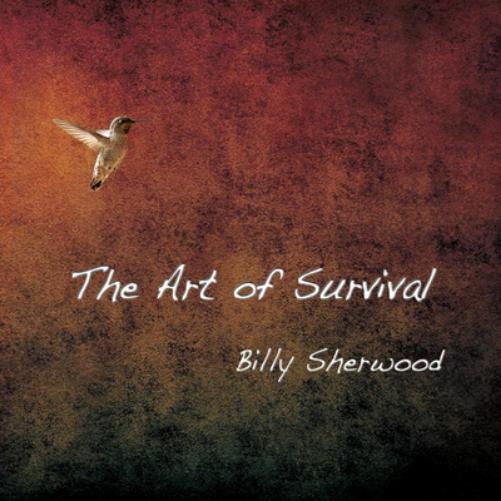 Billy Sherwood The Art of Survival (CD) Album