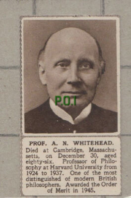 C1025) Prof AN Whitehead Harvard University Philosopher - 1948 SMALL Cutting