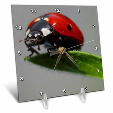 3dRose dc_21324_1 Insects Ladybug Desk Clock, 6 by 6-Inch 6x6 Desk Clock