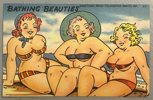 Comic Postcard BBW Three Fat Women Big Butt Swimsuit Beach Bathing Beauties VJ - Picture 1 of 2