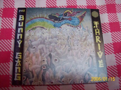 BUNNY GANG-THRIVE /2014/Solo LP Flogging Molly/Hardline EU/VG++