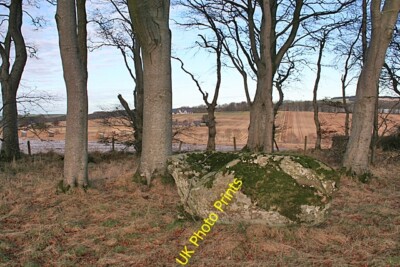 Foto 6x4 Tasse - gemarkt Erratic (1) Daviot\/NJ7428 Dieser Stein, obwohl gekündigt c2016