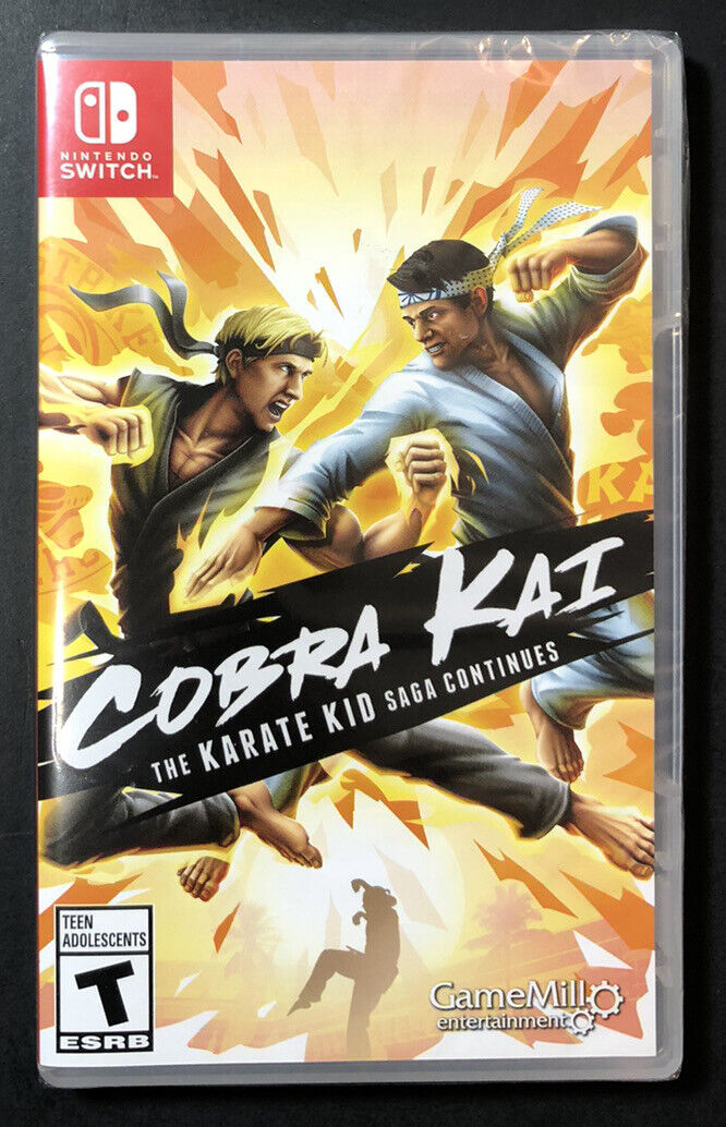 Cobra Kai The Karate Kid Saga Continues Switch