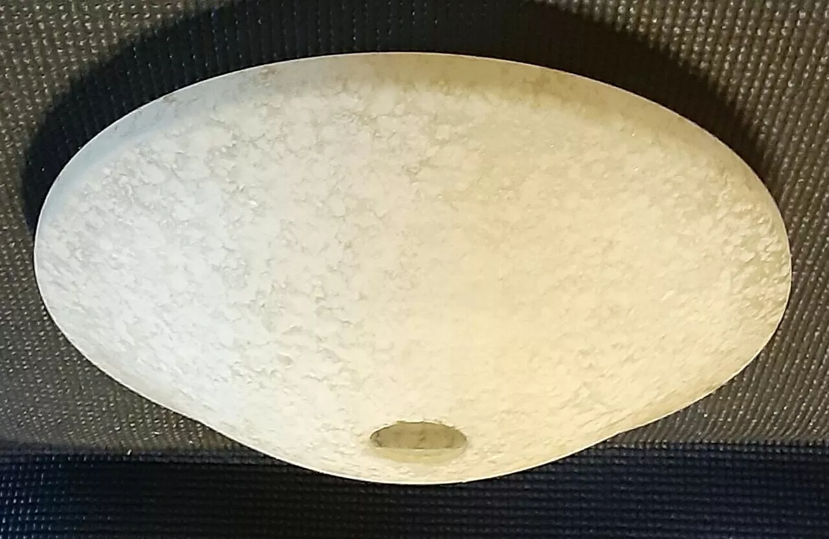 Casablanca Ceiling Fan Replacement Glass Shelly Lighting