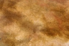 Autumn Splendor yellow gold brown RUG HOOKING WOOL HAND DYED Spotted Cur