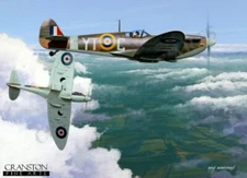 Supermarine Spitfire aviation art post card Royal Air Force Tangmere wing fighte
