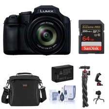 Panasonic LUMIX FZ80D 18.1MP Point & Shoot Digital Camera, Bundle with 64GB Memo