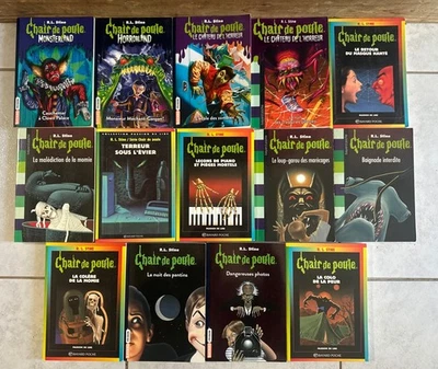 Lot 14 Livres Chair De Poule R.L Stine Horrorland Monsterland - Photo 1/4