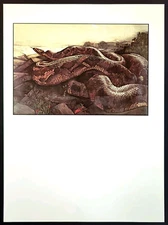 Edward Julius Detmold Jungle Book Kaa the Python Art Print Bookplate 5