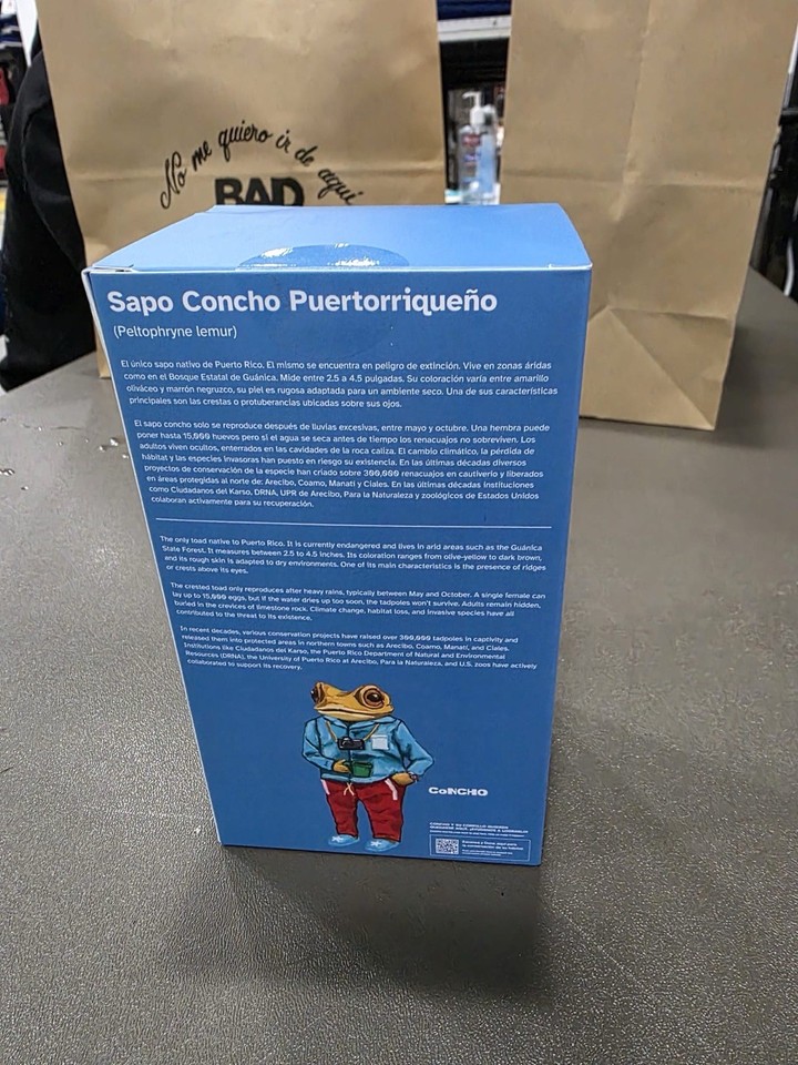 Llegó el campeón! 🏆 El Sapo Concho Boxeador 🐸 se une a la