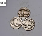 1913+1913-D+1913-S Buffalo Nickel Set/Lot ~ Type 1 ~ ZBL22