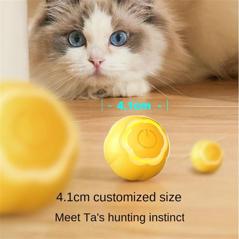 Smart ball cheap pet toy