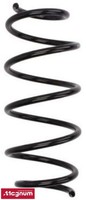 Magnum Technology SF120MT Fahrwerksfeder FüR Fiat