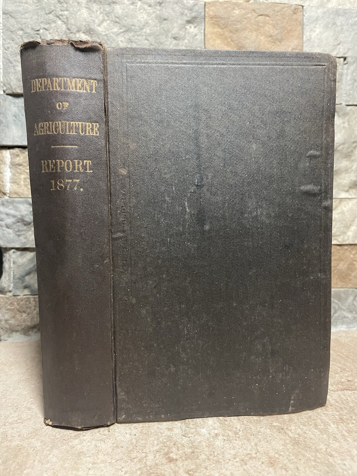 1877 Antique Report 