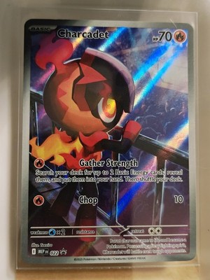 Charcadet 022 - Black Star Promo - Phantasmal Flames - Pokemon TCG