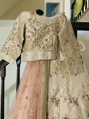 Pakistani Indian blush crimson Bridal Lehenga Choli