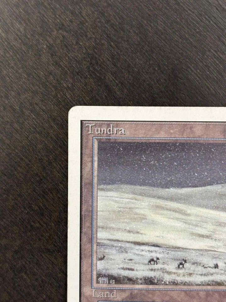 Tundra - MP/LP - Magic the Gathering Unlimited Edition - Image 3 of 4