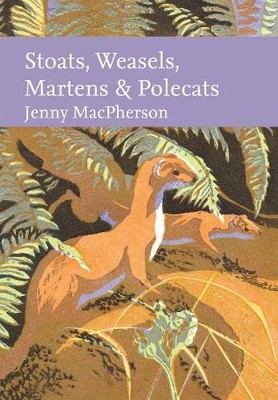 Jenny MacPherson Stoats, Weasels, Martens and Polecats (Gebundene Ausgabe)