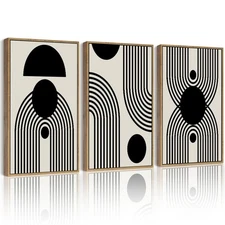 Drsoum Black and White Abstract Framed Wall Art Decor Duotone Minimal Dark Br...