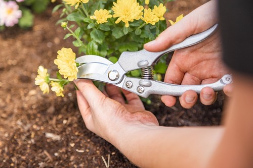 9-Piece Stainless Steel Gardening Tool Set,Better Homes & Gardens,New - Picture 6 of 6