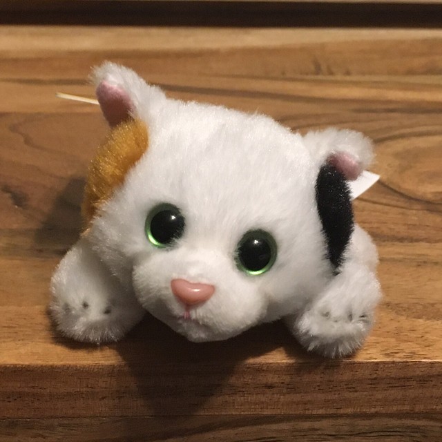 russ petooties pets