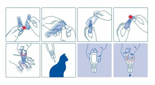 EFFIPRO¹ Duo Chat traitement tiques puces flea tick treatment 50ml 4 pipettes - Bild 2 von 4