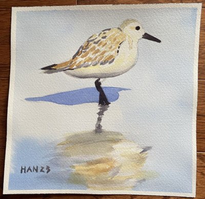 Sandpiper 26, Bird, Nautical, Beach, Original Watercolor Painting, Art, 8x8 inch