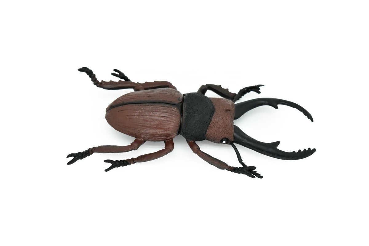 Beetle, Giant Stag, Very Nice Rubber Replica 6