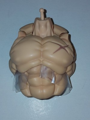 SH Figuarts Full Power Broly Dragonball Super  Bandai Tamashi Nations Torso