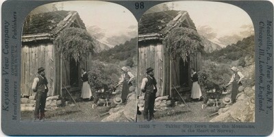 Stereo Foto Norwegen, Taking Hay Down from the Mountains - 10540315