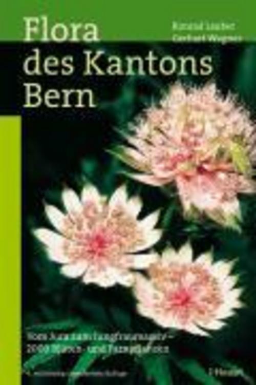 Thumbnail - Flora Des Kantons Bern, Konrad Lauber