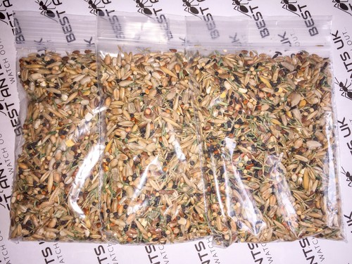 Live Queen Ant Food Jelly Harvester Ants Organic Seeds Mix Protein Best Ants UK - Picture 4 of 15