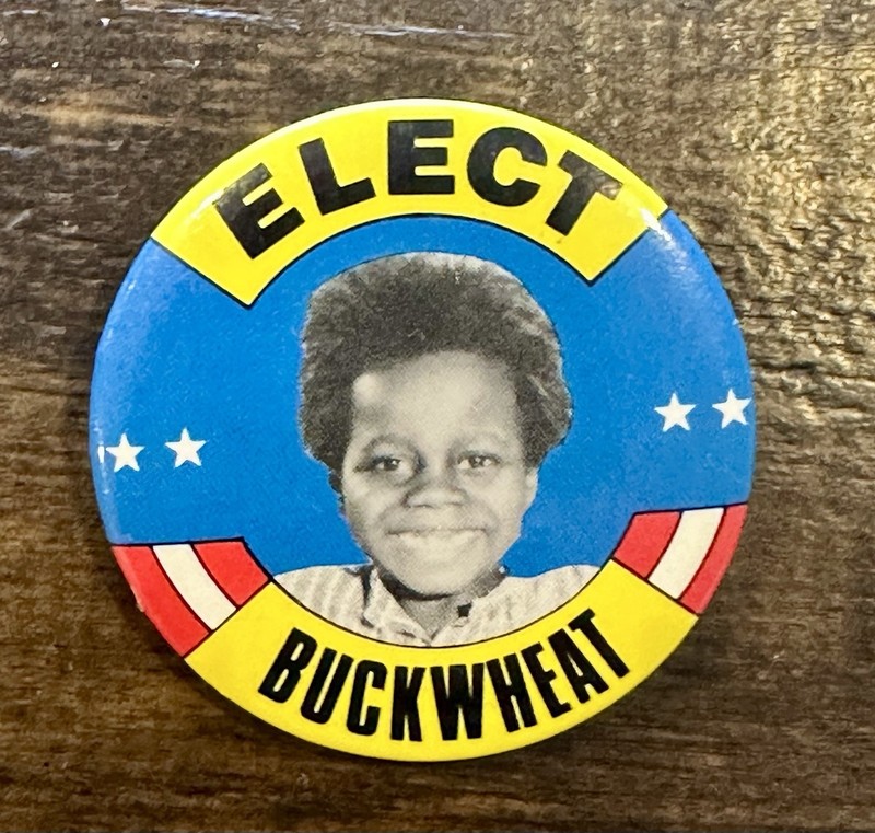 Elect Buckwheat Pin