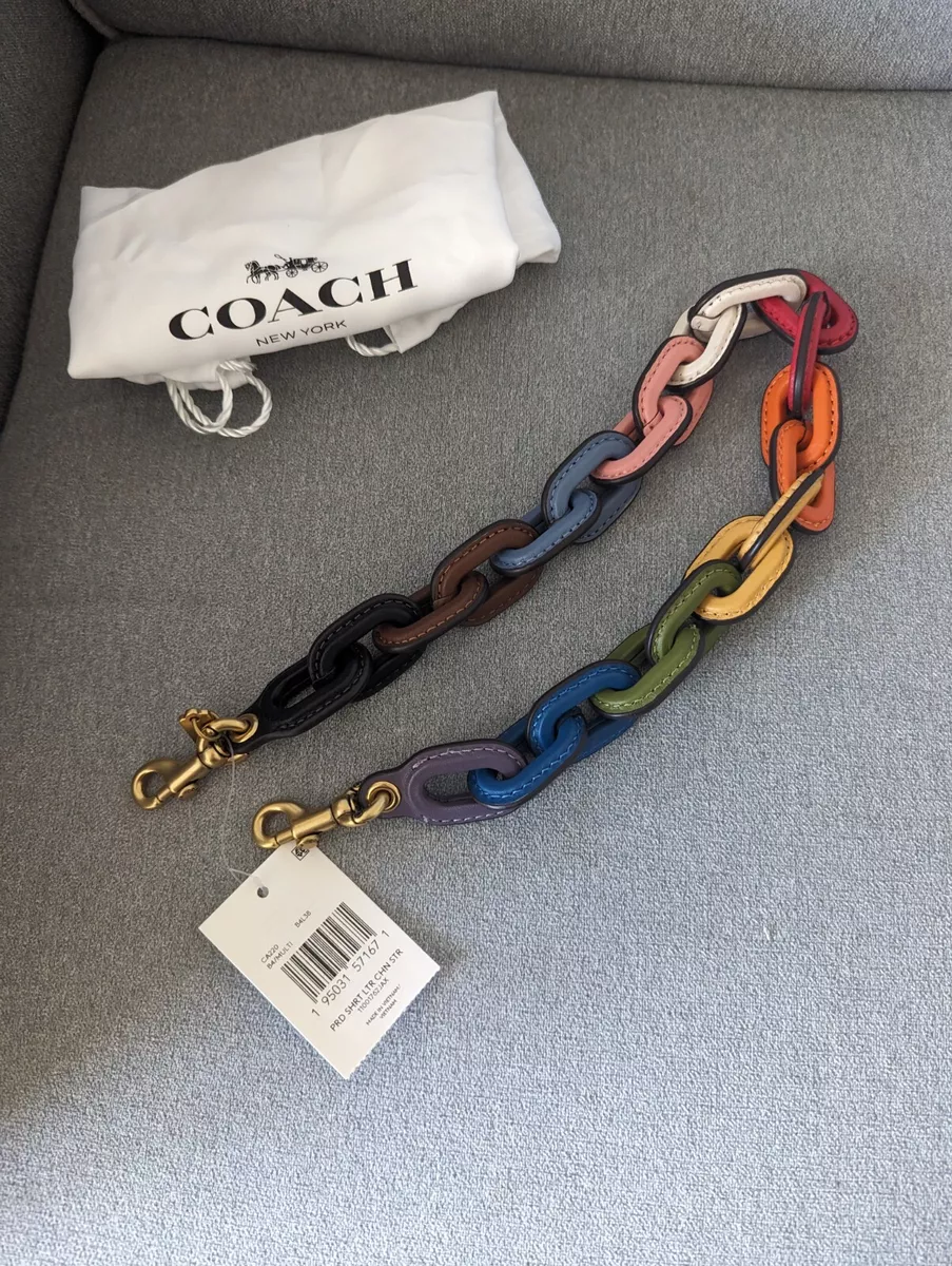 Rainbow store chain purse