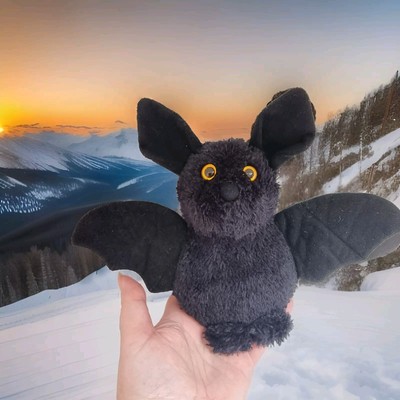 Jellycat Erdnuss Fledermaus Stofftier Plüsch Fledermaus nicht mehr produziert süß 