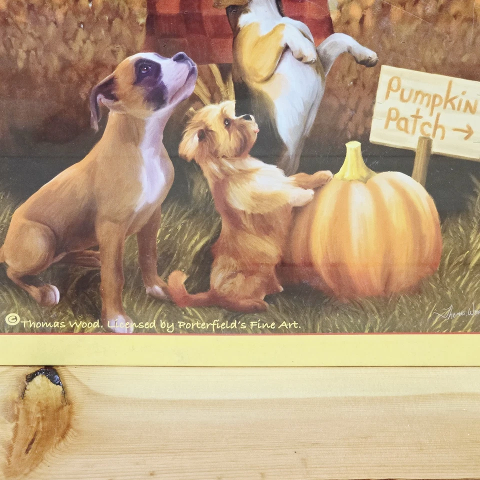 SunsOut 1000 Piece Jigsaw Puzzle Tom Woods Friends  Scarecrow Pumpkin Patch New - Image 3 of 4