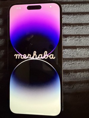 Apple iPhone 14 Pro Max 128GB Lila ohne Simlock