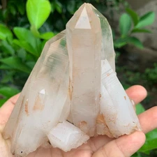 547g  Natural Clear White Quartz Crystal Cluster Rough Healing Specimen