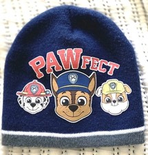 Nick Jr. Paw Patrol Beanie Toddler Boys One Size Fits All Hat New Without Tags