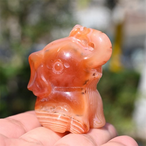 2'' Red agate Elephant hand Carved Natural Reiki Crystal sculpture Decor 1pc - Picture 12 of 14