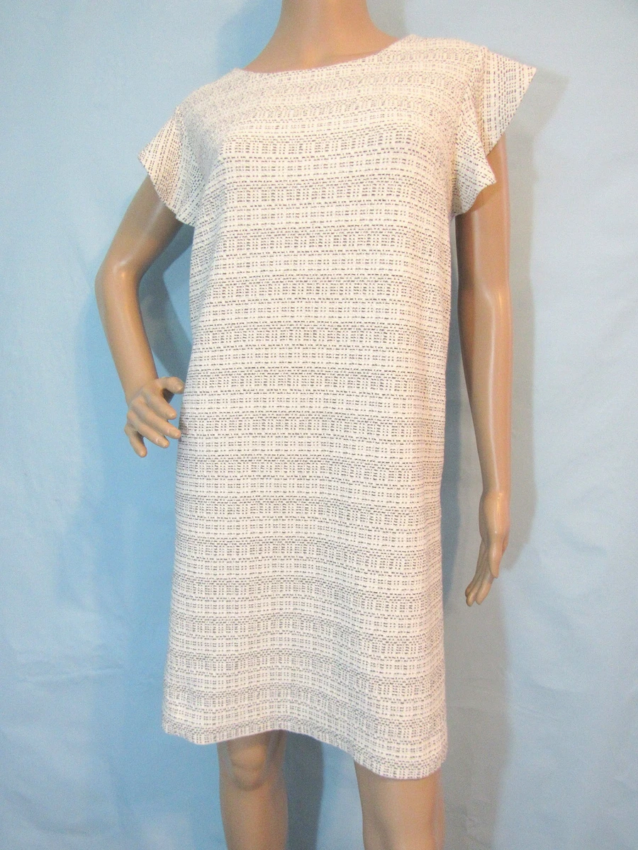 Loft flutter sleeve clearance dress