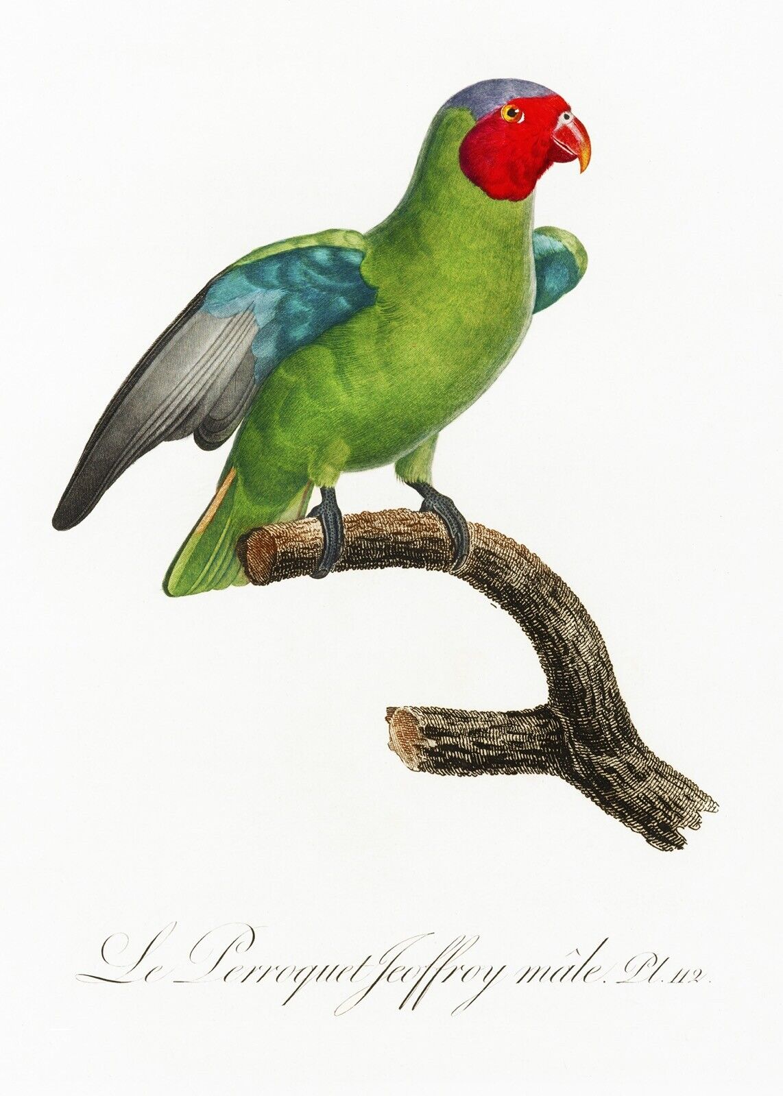 Foto 1 di 2