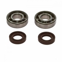 Kurbelwellenlager Satz FüR Derbi Senda 50 SM X-Treme Bj. 2005-2013
